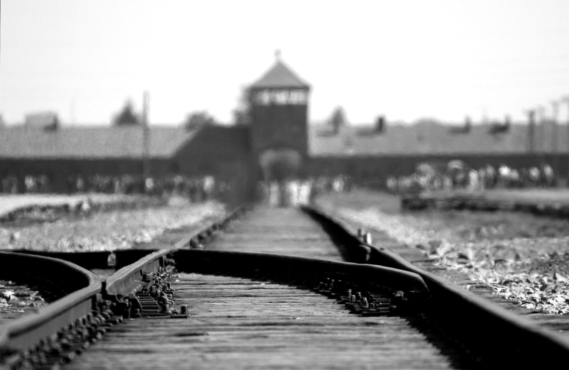 Pixabay: https://pixabay.com/photos/birkenau-auschwitz-concentration-402324/